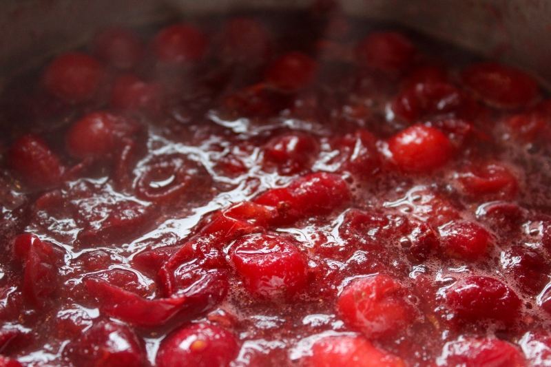 cranberry sauce